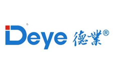 DeyeI(y)LOGO